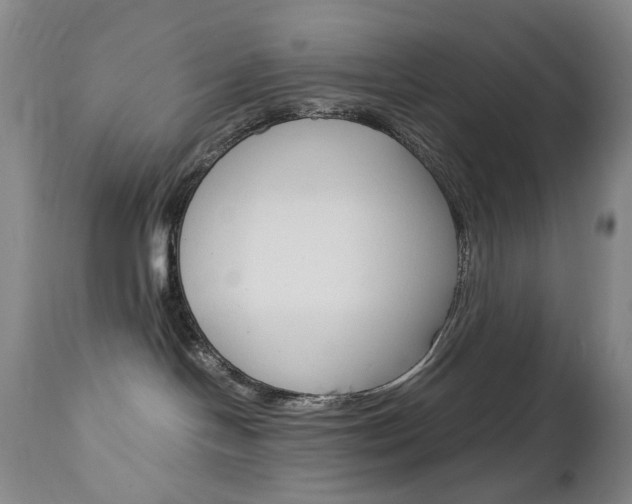 X0000113140094200909041007