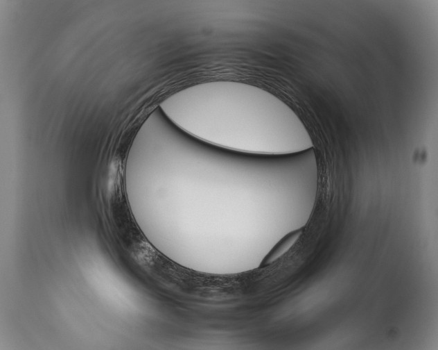 X0000113140095200909041007