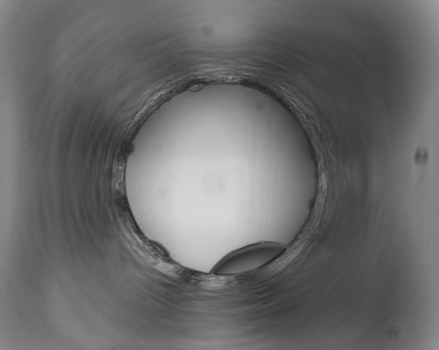X0000113140096200909041007