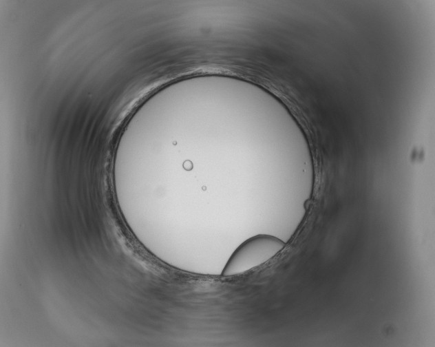 X0000113140098200909041007