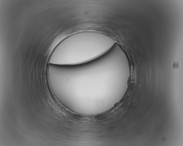 X0000113140099200909041007