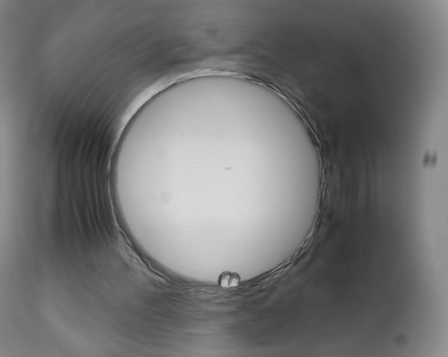 X0000113140100200909041007