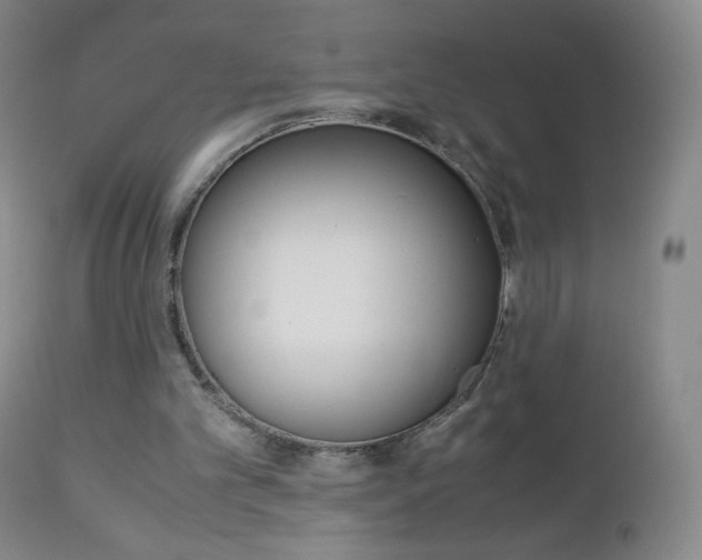 X0000113140101200909041006