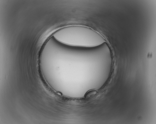 X0000113140103200909041006