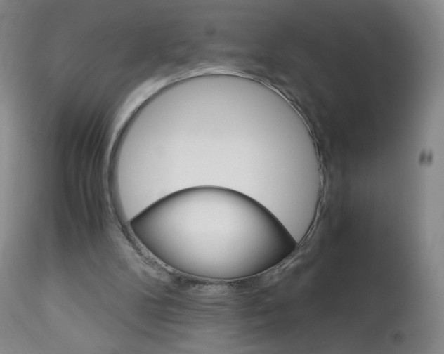 X0000113140104200909041006