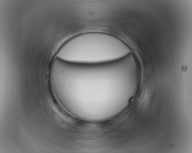 X0000113140107200909041006