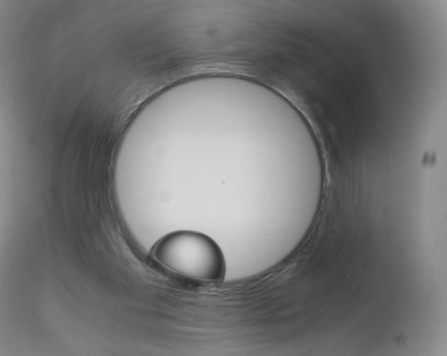 X0000113140109200909041006