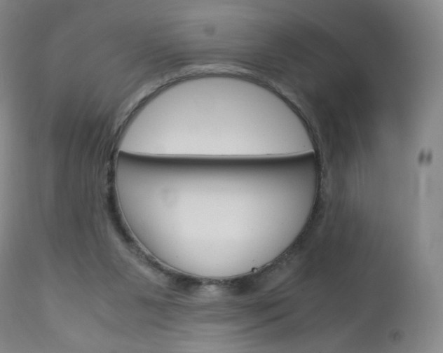 X0000113140111200909041006