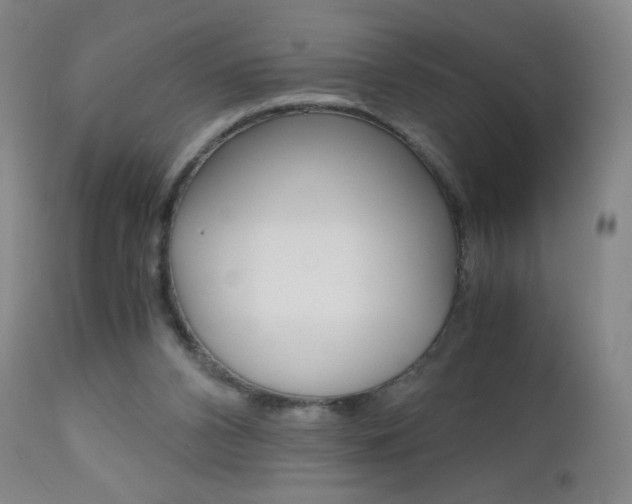 X0000113140112200909041006