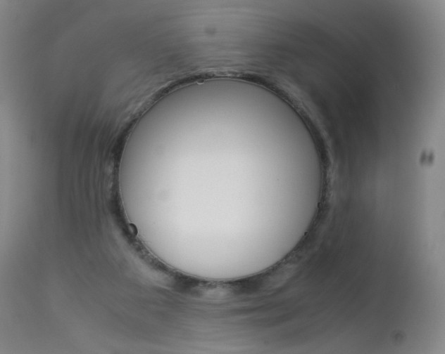 X0000113140113200909041006