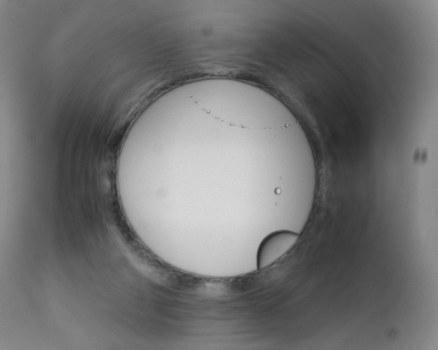 X0000113140114200909041006