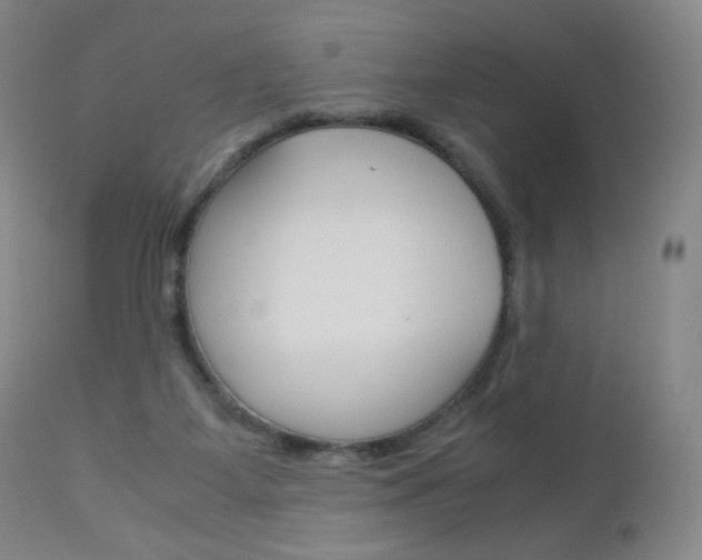 X0000113140115200909041006