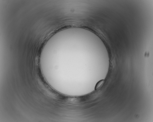 X0000113140117200909041006