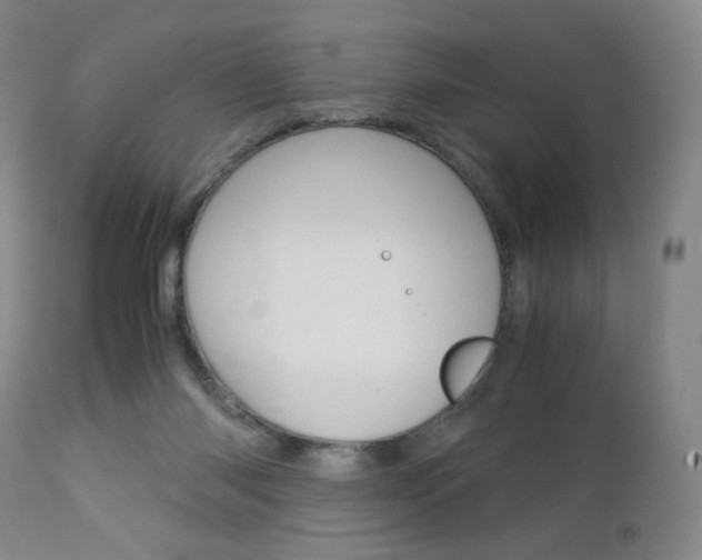 X0000113140118200909041006