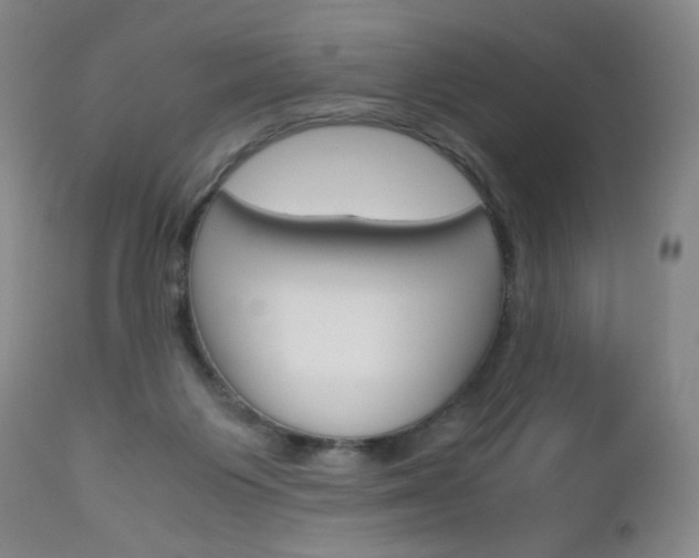 X0000113140119200909041006