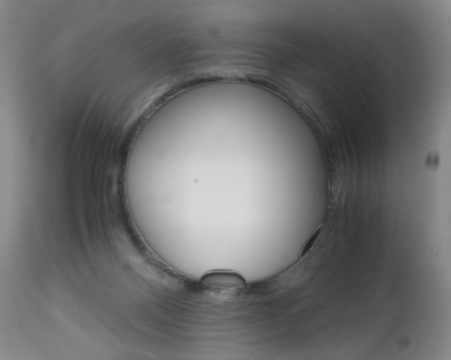 X0000113140120200909041006