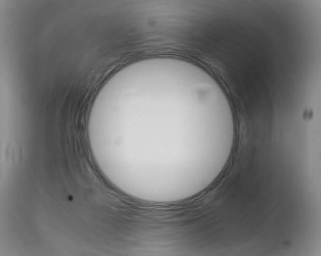 X0000113140121200909041006