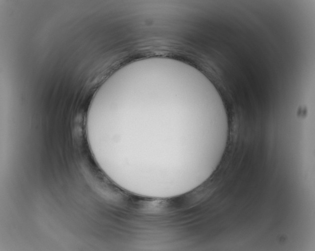 X0000113140122200909041006