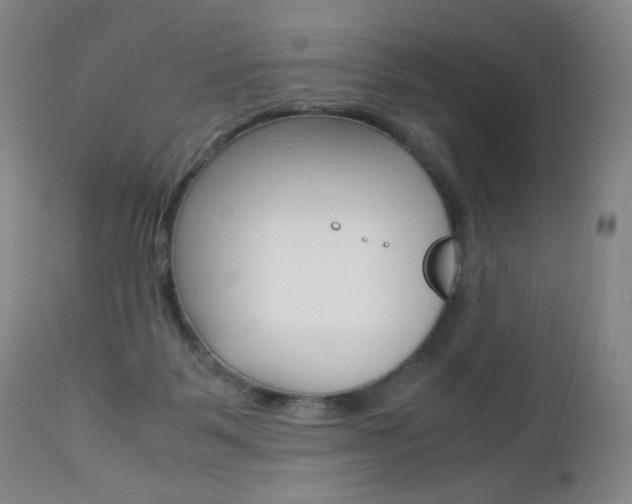 X0000113140123200909041006