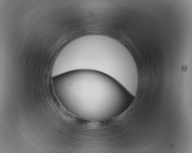 X0000113140124200909041006