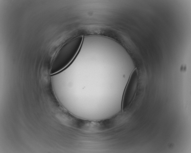 X0000113140125200909041006