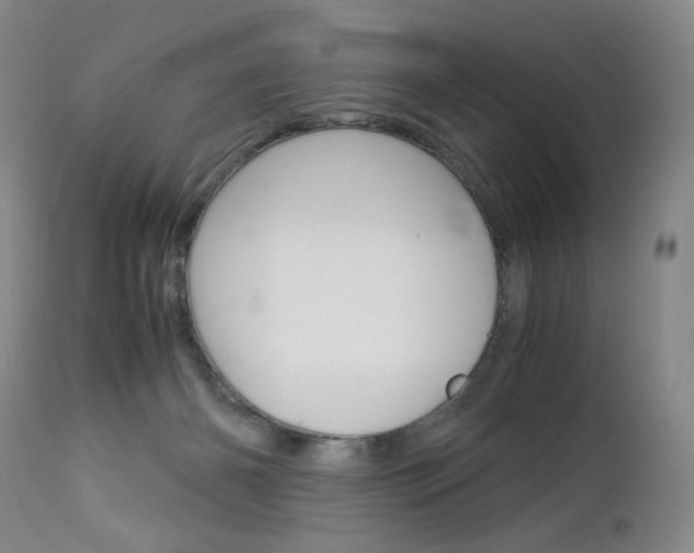 X0000113140126200909041006