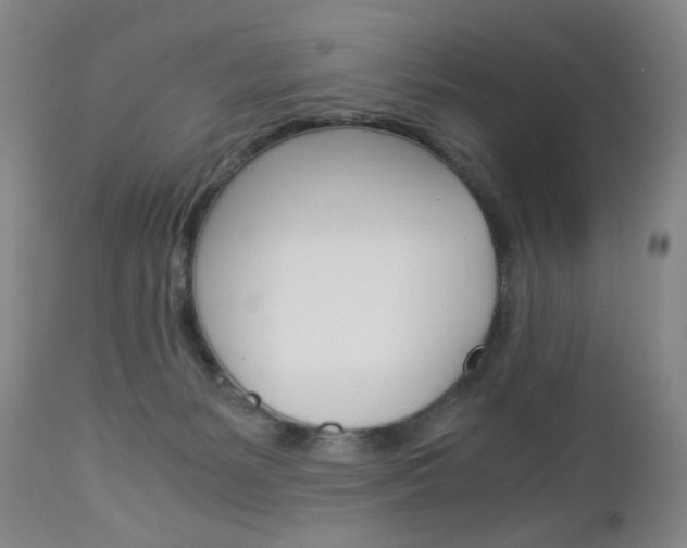 X0000113140127200909041006