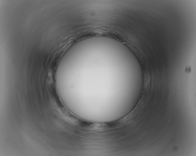 X0000113140128200909041006