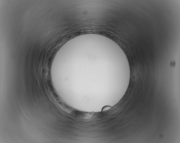 X0000113140130200909041006