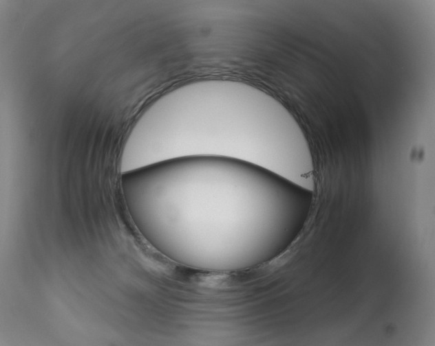 X0000113140132200909041006