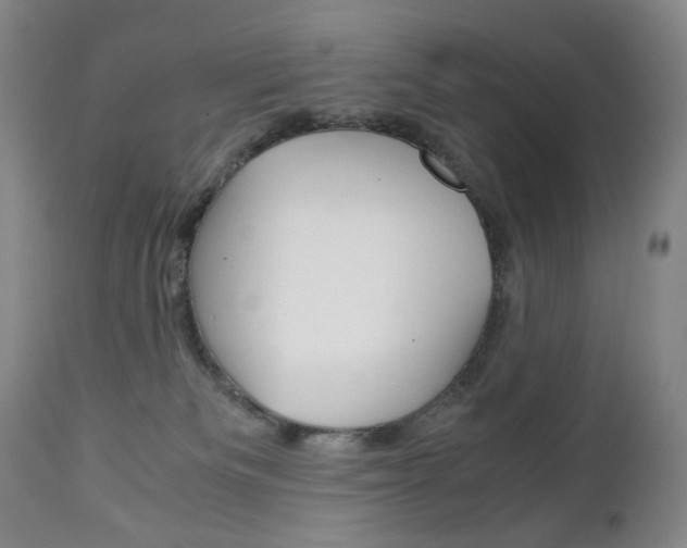 X0000113140133200909041006