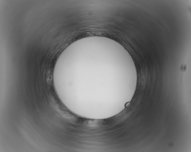 X0000113140134200909041006