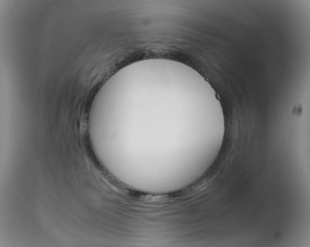 X0000113140135200909041006