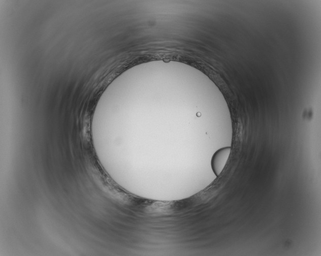 X0000113140138200909041006