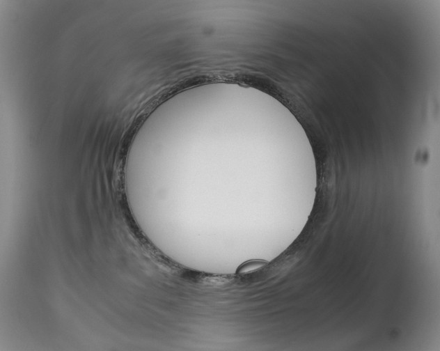 X0000113140139200909041006