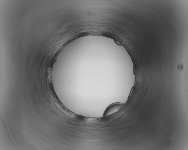 X0000113140141200909041006