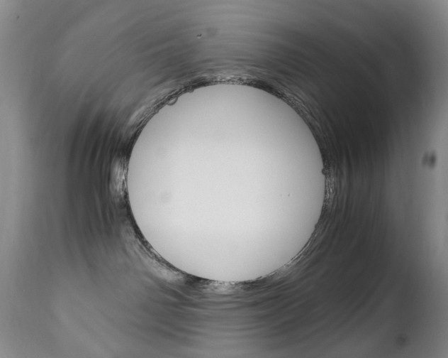 X0000113140142200909041006