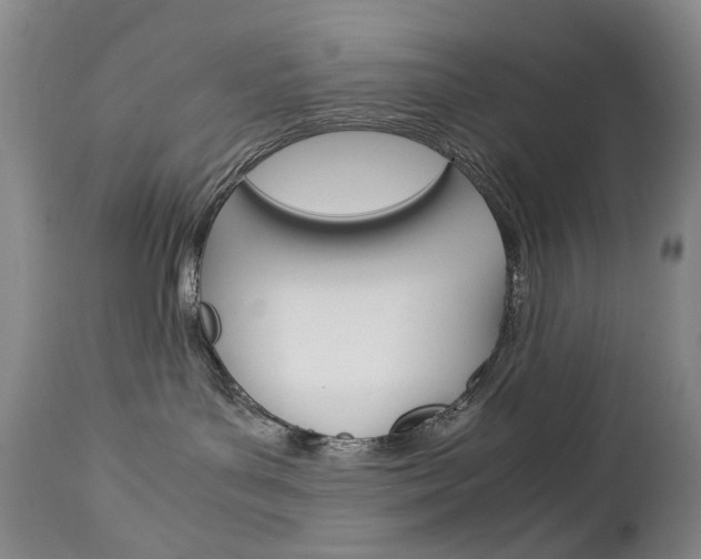 X0000113140143200909041006