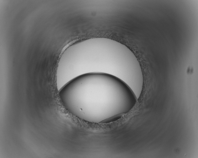 X0000113140144200909041006