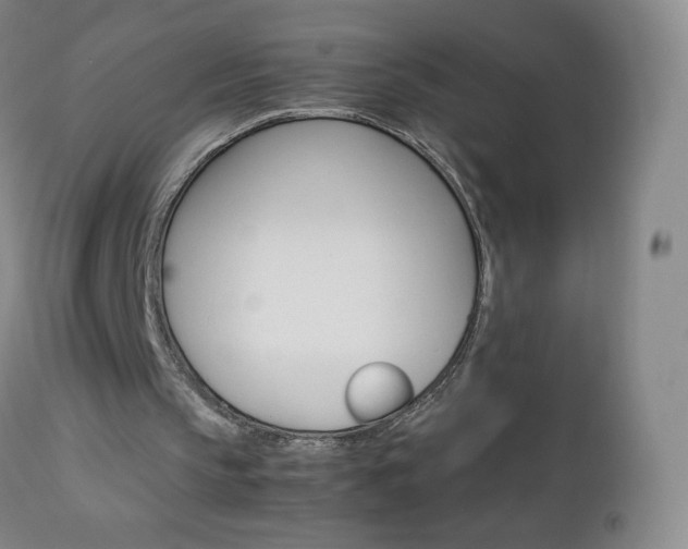 X0000113140145200909041005