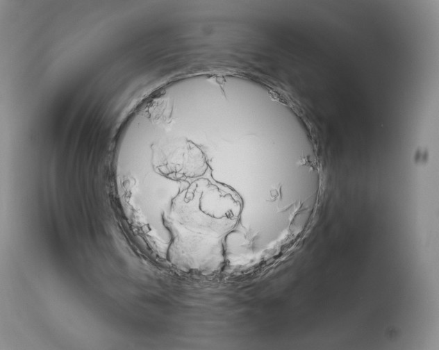 X0000113140146200909041005