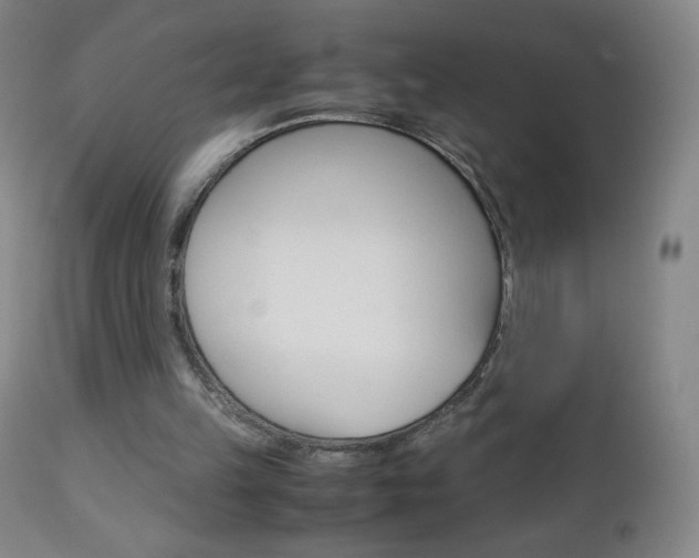 X0000113140149200909041005