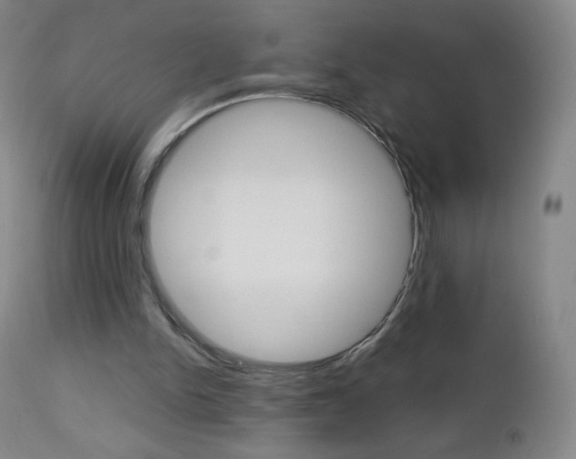 X0000113140150200909041005
