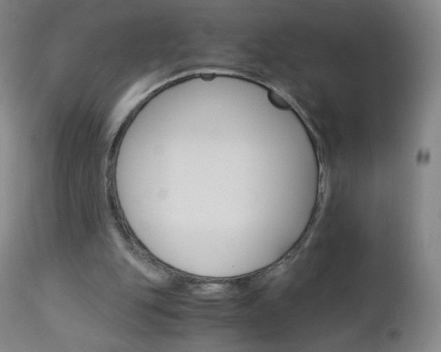 X0000113140151200909041005