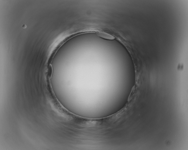 X0000113140152200909041005