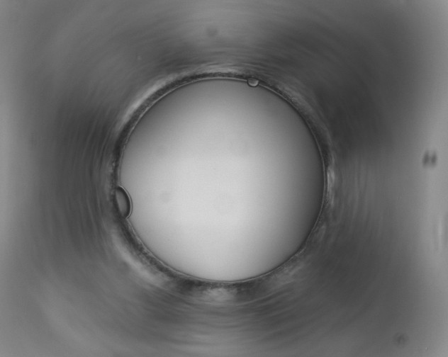 X0000113140156200909041005
