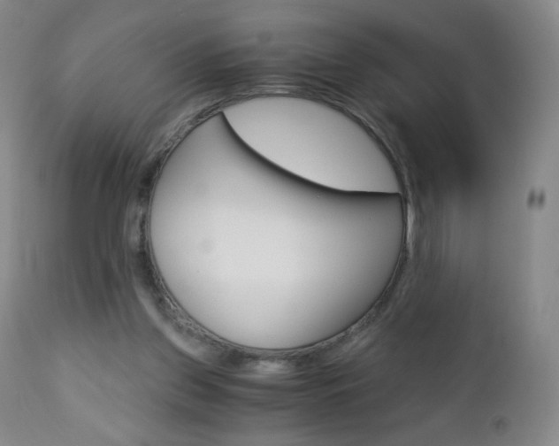 X0000113140157200909041005
