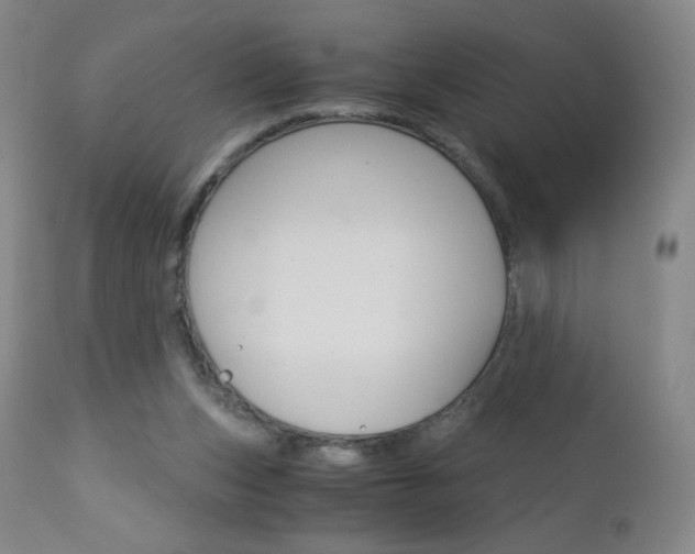 X0000113140159200909041005