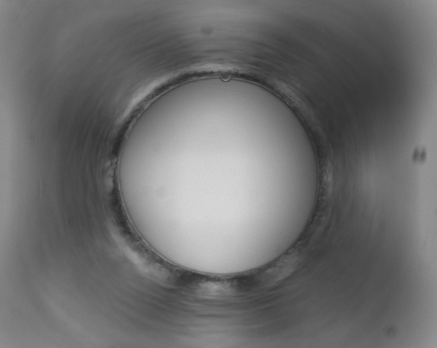 X0000113140160200909041005