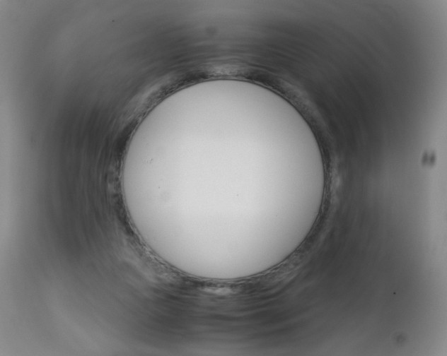 X0000113140161200909041005
